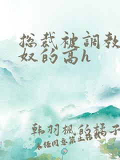 总裁被调教成贱奴的高h