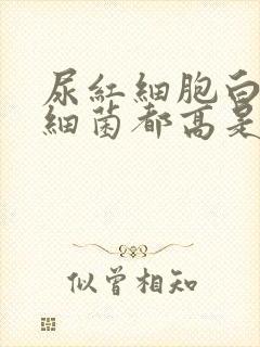 尿红细胞白细胞细菌都高是咋回事