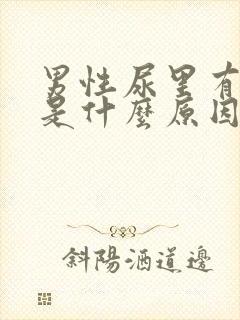 男性尿里有潜血是什么原因引起的