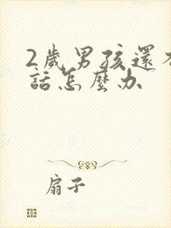 2岁男孩还不说话怎么办