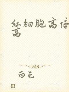 红细胞高倍视野高