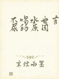 不喝水也有很多尿的原因