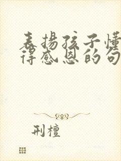 表扬孩子懂事懂得感恩的句子