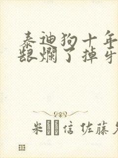 泰迪狗十年了牙龈烂了掉牙