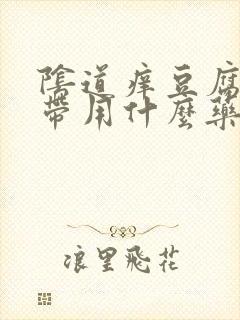 阴道痒豆腐渣白带用什么药