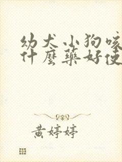 幼犬小狗咳嗽吃什么药好使