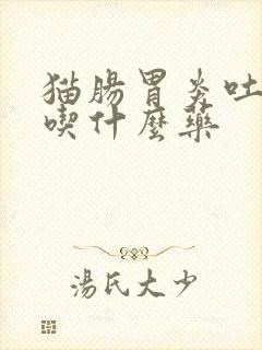 猫肠胃炎吐黄水吃什么药