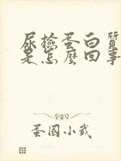 尿检蛋白质1+是怎么回事