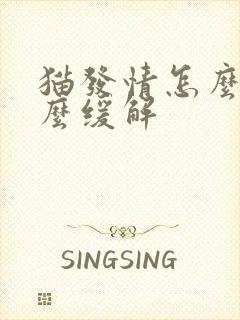 猫发情怎么办怎么缓解