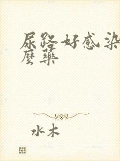 尿路好感染吃什么药