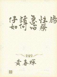 仔猪急性肠胃炎如何治疗