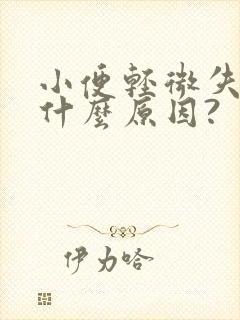 小便轻微失禁是什么原因?