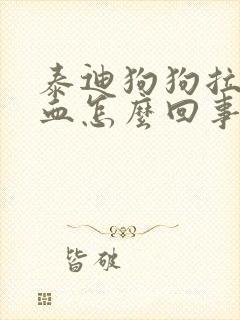 泰迪狗狗拉稀便血怎么回事