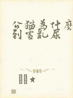 公猫为什么突然到处乱尿