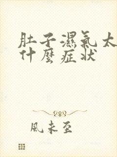 肚子湿气太重有什么症状