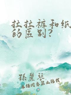 拉拉裤和纸尿裤的区别?