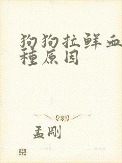 狗狗拉鲜血有几种原因