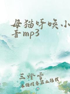 母猫呼唤小猫声音mp3