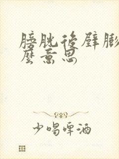 膀胱后壁膨出什么意思