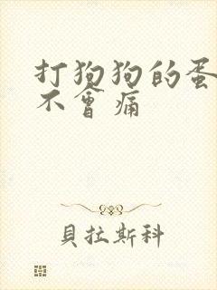 打狗狗的蛋蛋会不会痛