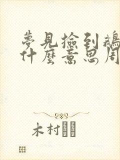 梦见捡到鹅蛋是什么意思周公解梦