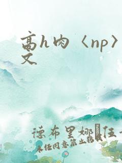 高h肉〈np〉文