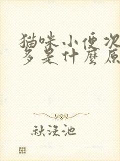 猫咪小便次数增多是什么原因?