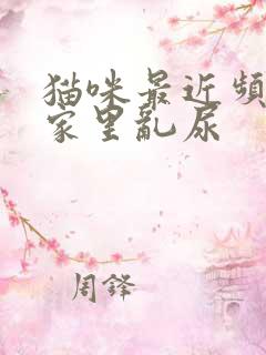 猫咪最近频繁在家里乱尿