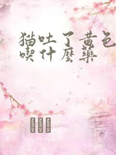 猫吐了黄色液体吃什么药