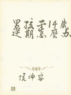 男孩子14岁叛逆期怎么办