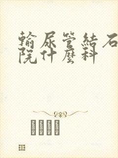 输尿管结石去医院什么科