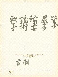 软镜输尿管结石手术要多少费用