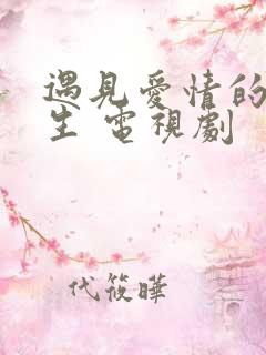 遇见爱情的利先生 电视剧