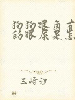 狗狗眼角有黑色的眼屎是怎么回事