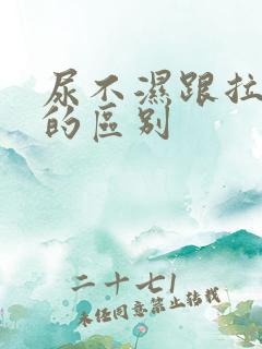 尿不湿跟拉拉裤的区别