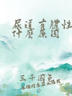 尿道有脓性液体什么原因