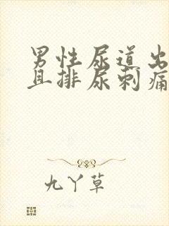 男性尿道出脓而且排尿刺痛吃什么药