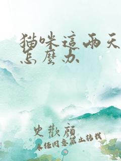 猫咪这两天老吐怎么办