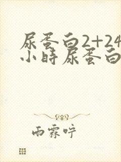 尿蛋白2+24小时尿蛋白定量0.45