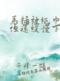 马桶被纸巾堵住但还缓慢下水