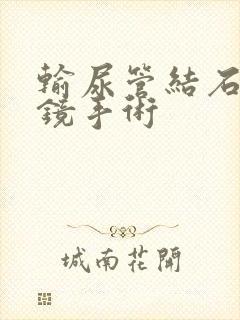 输尿管结石用软镜手术