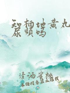 知柏地黄丸能治尿频吗