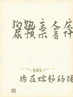 狗跑主人床上拉尿预示着什么