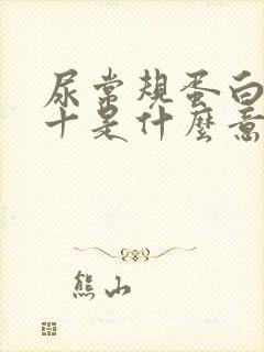 尿常规蛋白质2十是什么意思