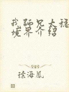 我师兄太稳健了境界介绍