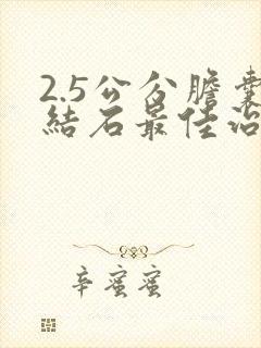 2.5公分胆囊结石最佳治疗方法