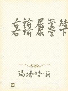 右输尿管结石伴右输尿管下段积水