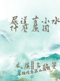 尿道有小水泡是什么原因