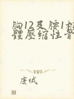 胸12及腰1椎体压缩性骨折
