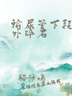 输尿管下段结石外碎石